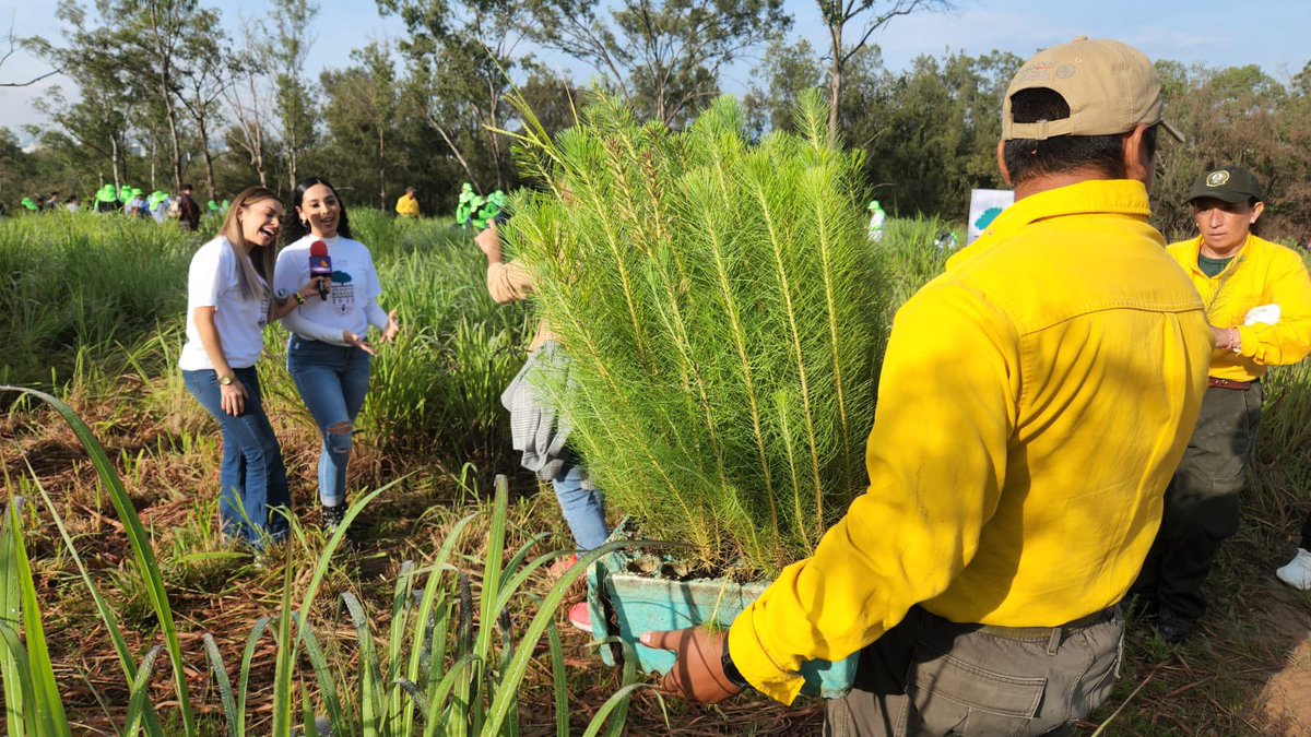 TVAztecaJalisco's tweet photo. 🔴#FOTOGALERIA Ya son 20 años del Nuevo Bosque y como en cada ocasión, se cumplió la meta de sembrar más de 4,000 árboles en Jalisco. Una iniciativa de @gruposalinas con ayuda de @CONAFOR en beneficio de nuestro planeta. https://t.co/Gq3YbP49HA
