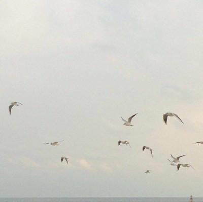 bauldepoesia's tweet photo. What is better, 
than the state of sleeping? 
I can craft a world without expectations, 
when I am dreaming. 

I live in hope that one day, 
I will live a cottage where wildflowers grow,
And each night I will share a bed with love. https://t.co/qUbFtGciG4