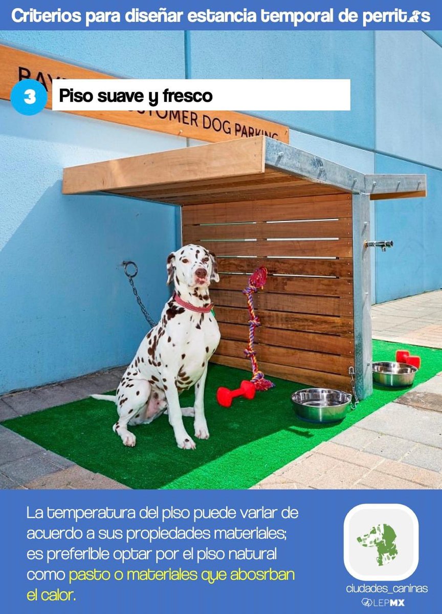 Cada vez son más los establecimientos, tiendas y otros giros comerciales que optan por asignar lugares para dejar a tus mascotas mientras realizas alguna actividad dentro; a estos les llamamos "estancias temporales".
1/3