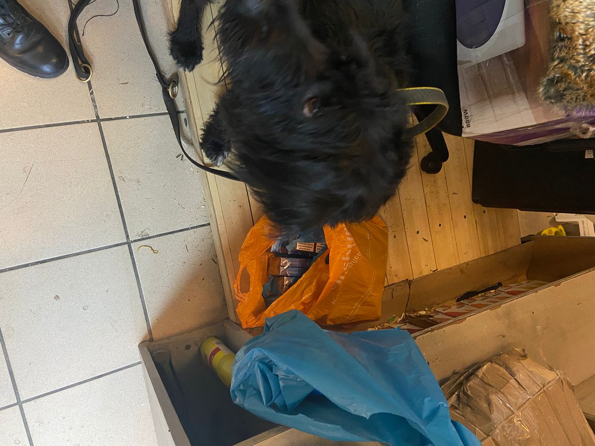 ConsumerDogs's tweet photo. More fun in the sun for the dogs this week.some good recoveries which came from great team work . I will post our lunch stop !! Its not always so lovely 😊 #operationCece #illegatobacco https://t.co/t4eYroX2rk