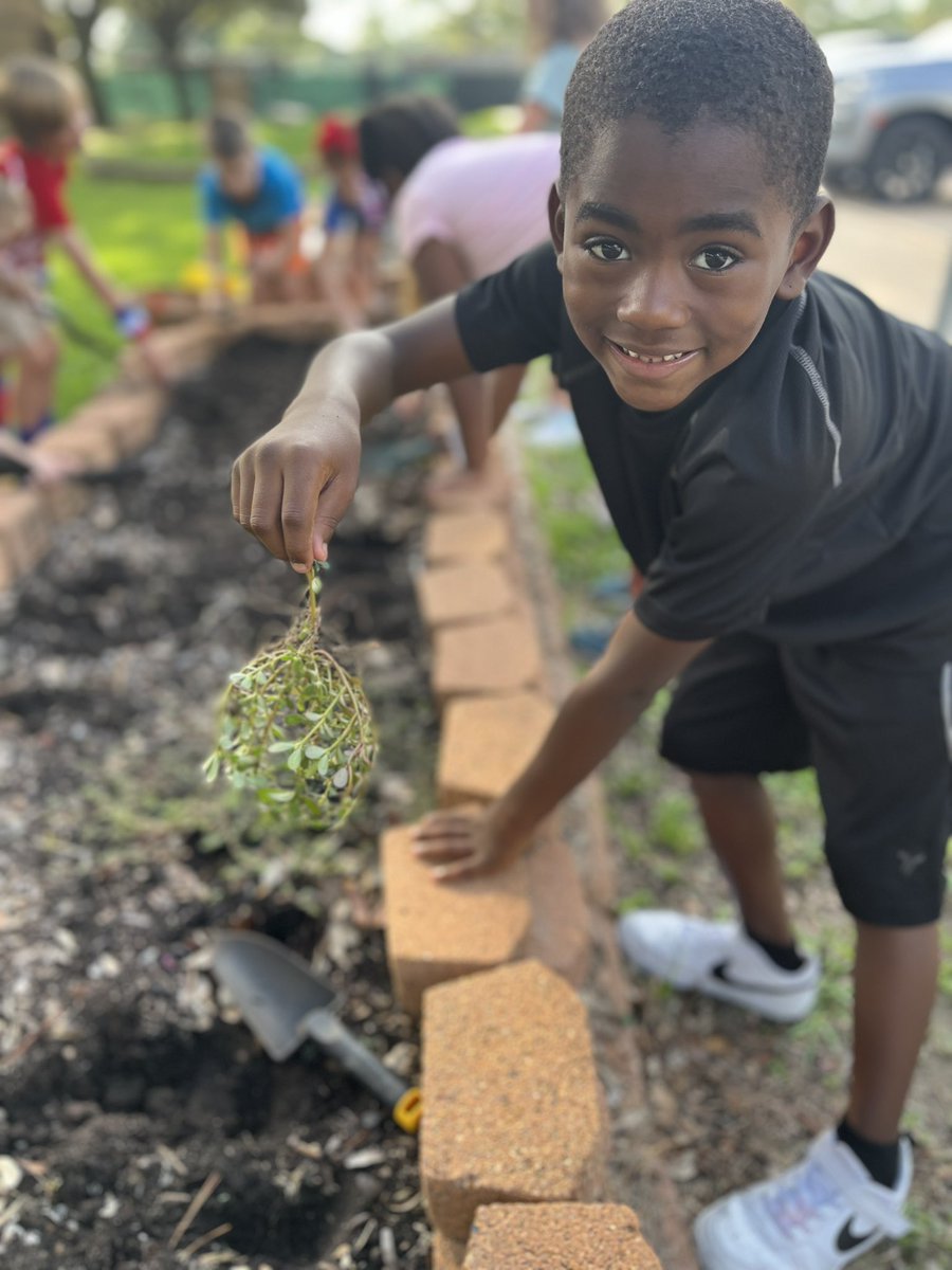 readygrowgarden's tweet photo. It’s Garden Day @Hamilton_Lions 💚 2nd graders are turning the soil to prep for fall planting and weeding the veggie beds! Learning by DOING the work 💪 #science #soilstudy #GardenDay #outdoorlearning @CFISDScience https://t.co/VuPiYQFkZi