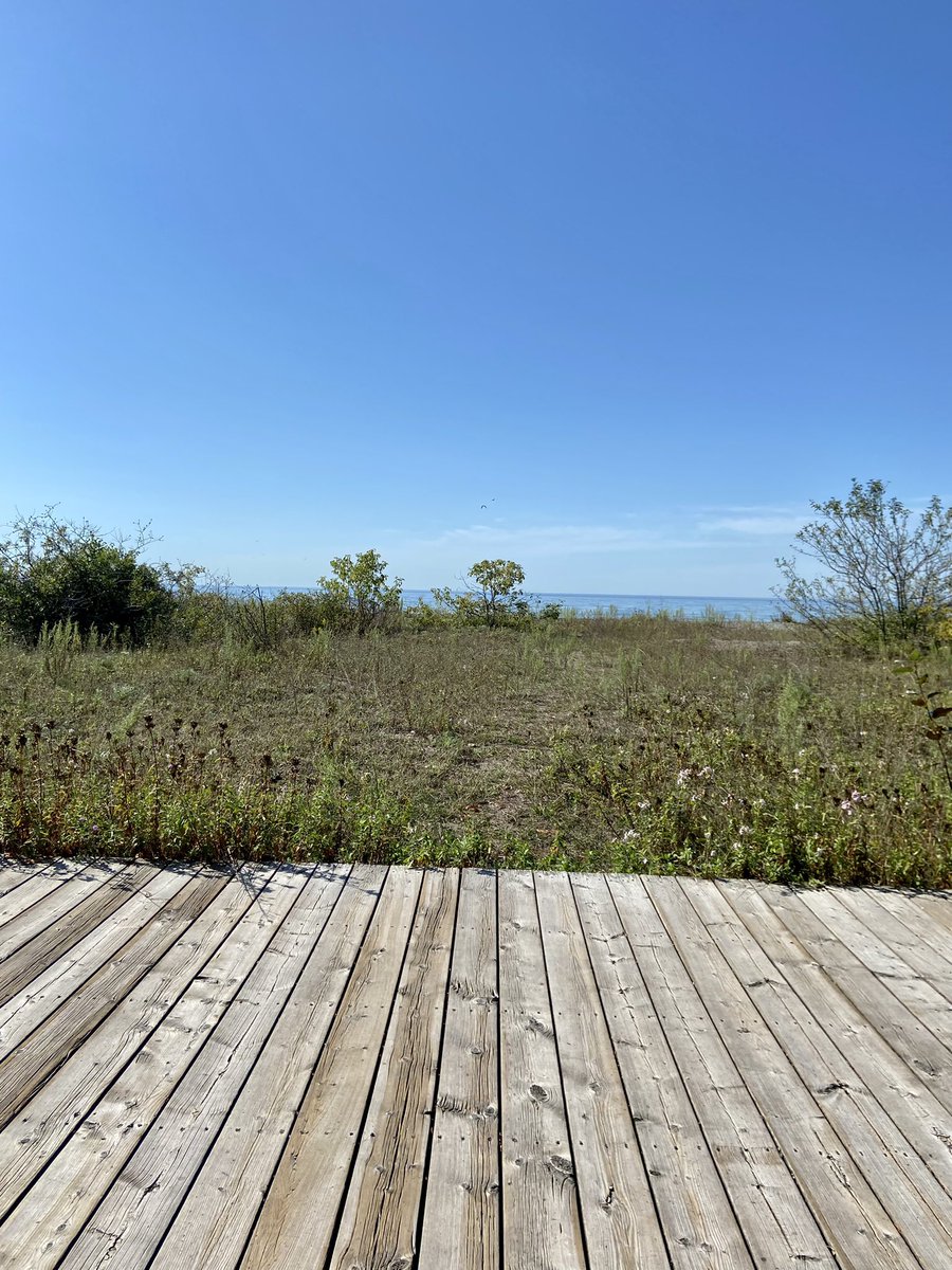 _threadsdesign's tweet image. Cobourg ❤️