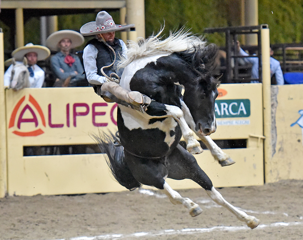 millonariothv's tweet photo. Impresionante victoria de Charros de La Laguna “A” con 404 puntos #CampeonatoMillonarioTHV #ExperienciaMillonaria #LaPichoniza 

https://t.co/fgusuppNGZ https://t.co/8oci6PeGoE