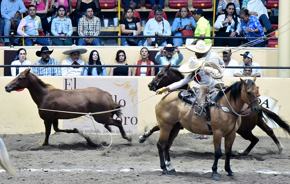 millonariothv's tweet photo. Impresionante victoria de Charros de La Laguna “A” con 404 puntos #CampeonatoMillonarioTHV #ExperienciaMillonaria #LaPichoniza 

https://t.co/fgusuppNGZ https://t.co/8oci6PeGoE