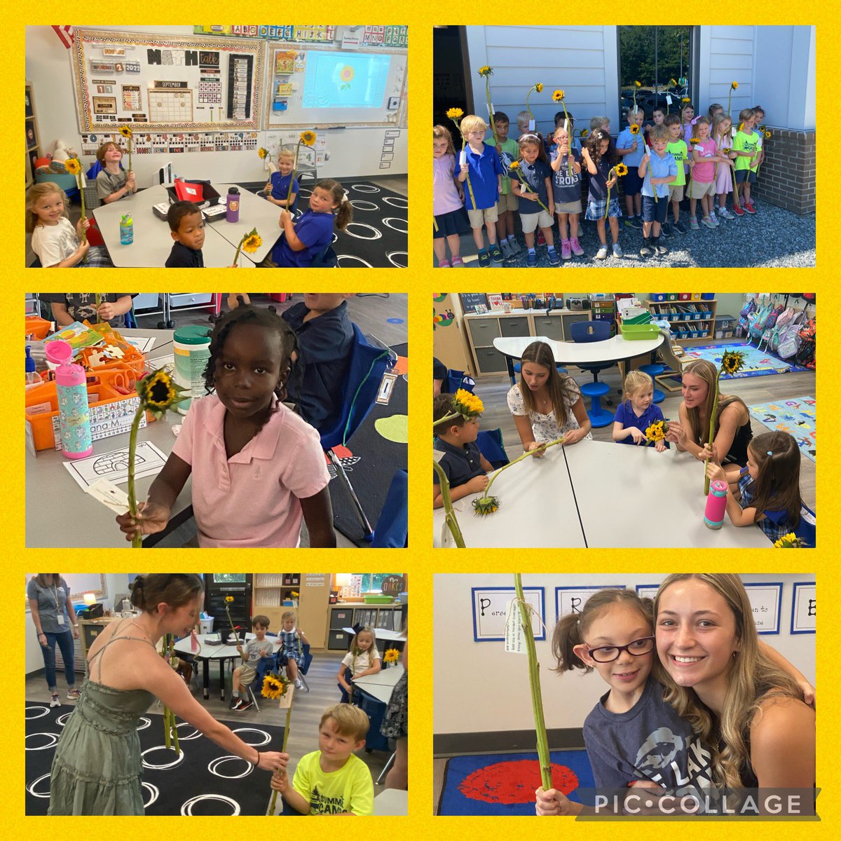 Seniors brought sunflowers with positive messages to all of our kindergartners! <a href="/PineLakePrep/">Pine Lake Prep</a> <a href="/PineLakePride/">Pine Lake Pride</a>