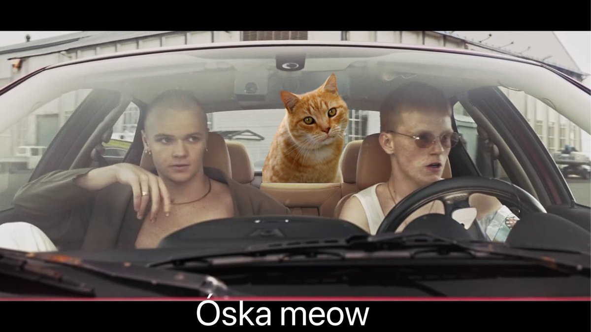 Annie_R's tweet photo. @Kiddioli #oskameow https://t.co/lpVjb1f2DC