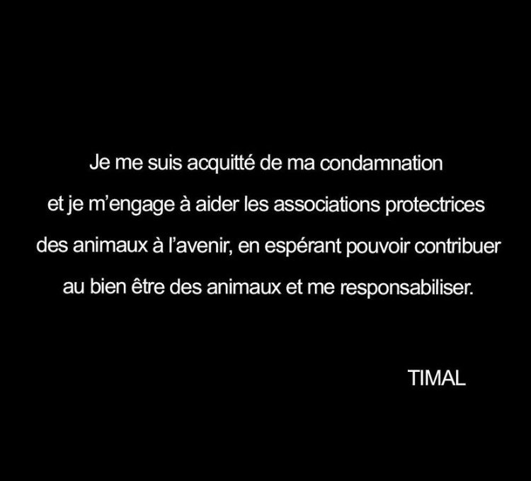 Kulturlesite_'s tweet photo. Timal présente ses excuses et s’engage à aider les associations protectrices des animaux à l’avenir : https://t.co/8smp5BH4hv