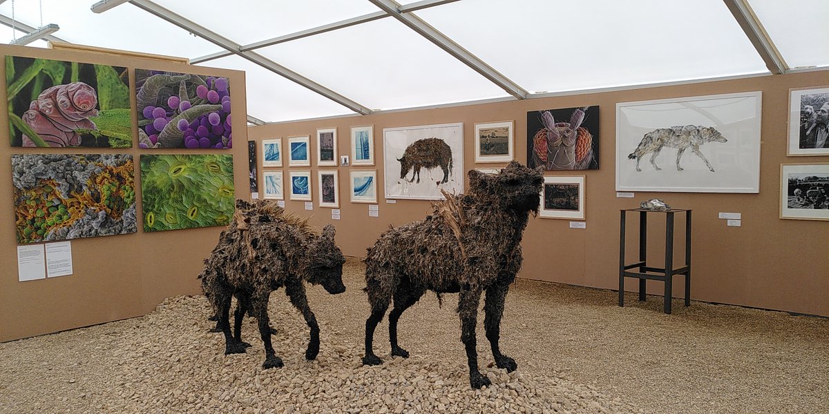 PeakDistrictEQM's tweet photo. Congratulations #EarthBoundProject @alexhydephoto @KateBellis7  and all the artists and subjects involved in this incredible exhibition. A must see this weekend at @natstonecentre!  https://t.co/j2cJhoepry @longcliffe  @DerbyUni https://t.co/uhpSKMozum
