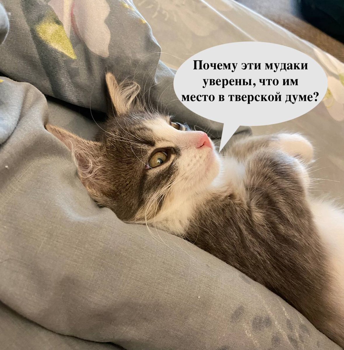 — О чем ты думаешь, милый котенок?

[Нарисовал вам пятничный милый мем]