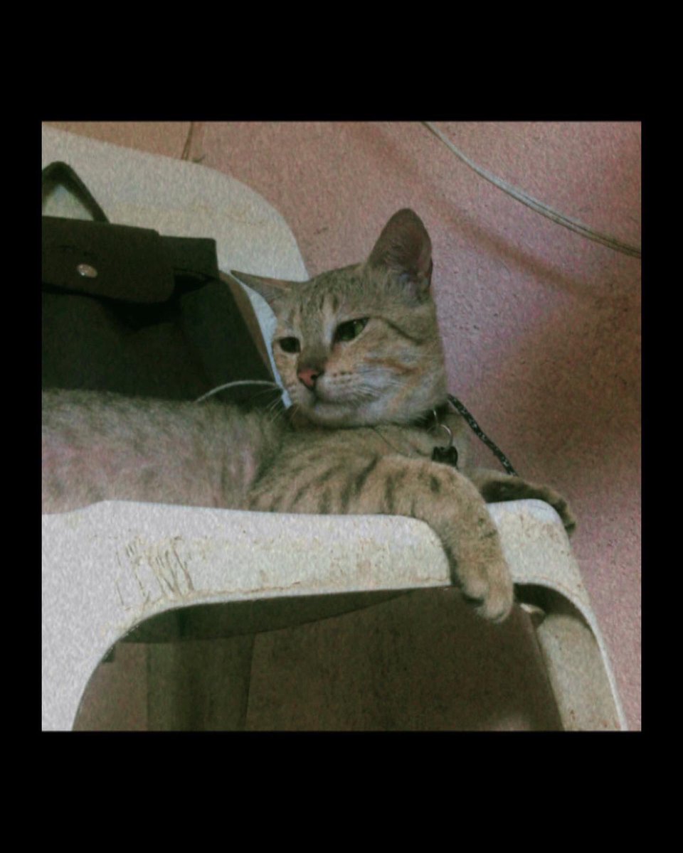 _xsrows's tweet photo. Kung ganito ba naman ka-cute… i miss you!!! https://t.co/IItnlKmZVF