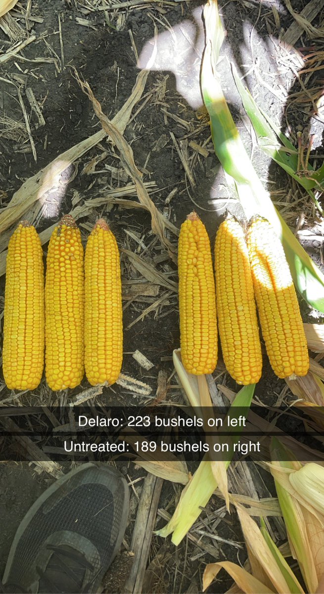 Eric Goodman tweet media