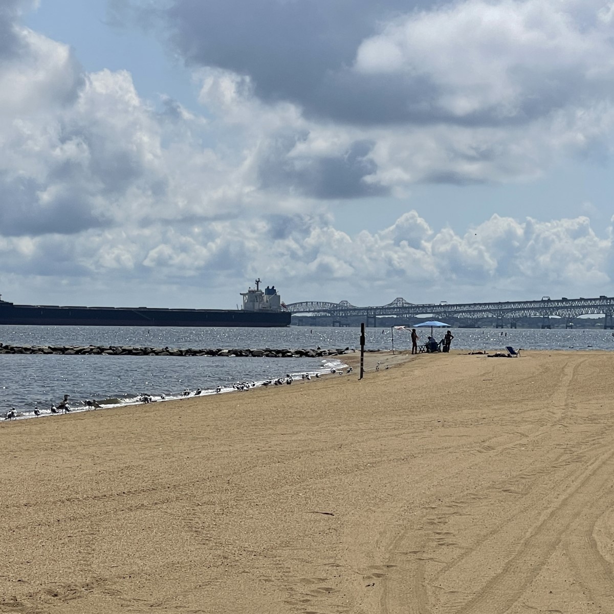 AAHealth_Water's tweet photo. Last 2022 Season Recreational #WaterQuality Report for #AnneArundel County #HealthyBeaches. #ChesapeakeBay, #MagothyRiver, #PatapscoRiver, Rhode River, #SevernRiver, South River, West River, Stoney Creek, Weems Creek. https://t.co/QUJH4LWdDC https://t.co/cbSfY6kdJB
