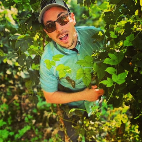 wmdailey's tweet photo. Harvest is upon us! Gaze upon our hops, ye Mighty, and despair! https://t.co/3a25KMg2P9