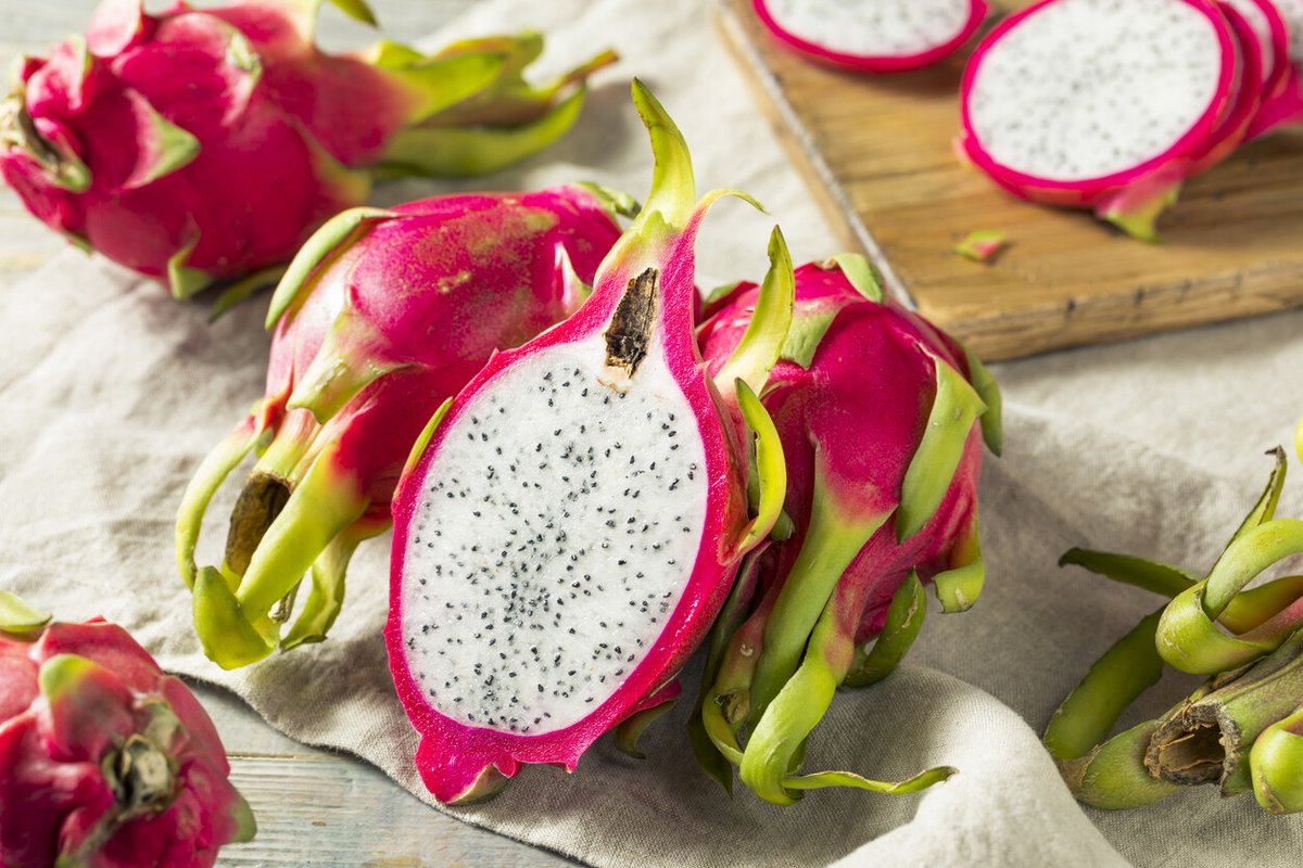 Pkmn_Pirita's tweet photo. Fruitaya está basado en un zorro del desierto y en la fruta pitahaya.

Su nombre proviene de "Fruit" y "Pitahaya".

El diseño de Fruitaya viene de la mano del artista @Mralmagris.

El sprite ingame de Fruitaya viene de la mano del artista @SopitaYorita. https://t.co/o3jqFLOova