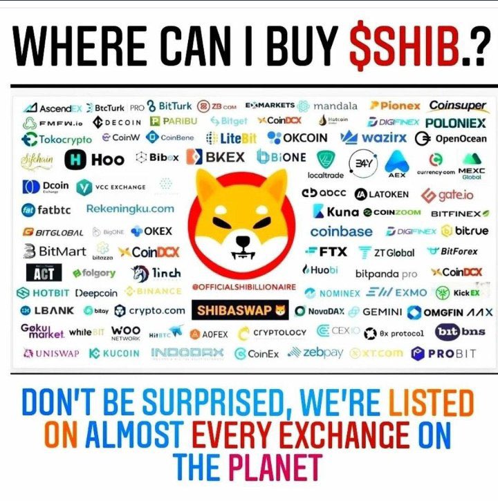 JamesAl06658214's tweet image. KING.#SHIBARMY