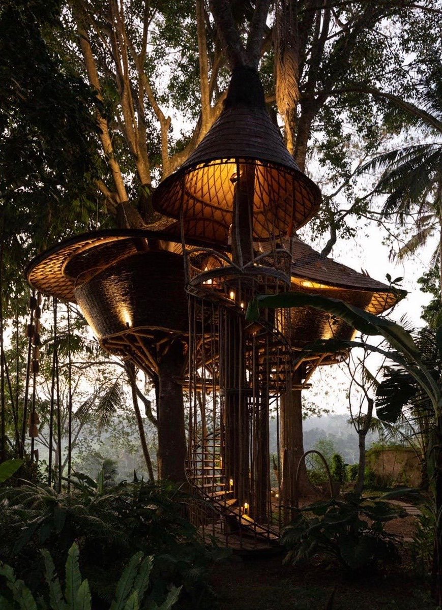 Treehouse in the jungle.