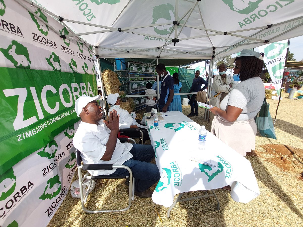 RabbitZimbabwe's tweet photo. Highlights from day 5 #ZAS2022 https://t.co/wjNMdPyGua