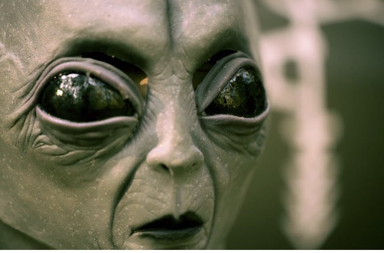Kenyans in the Diaspora have been referred to as ALIENS INFILTRATING  AND CONTAMINATING the Kenyan elections.    Join us in the discussion below at 19.30 EAT to discuss how seriously the government takes diaspora voting rights : x.com/i/spaces/1gqGv…