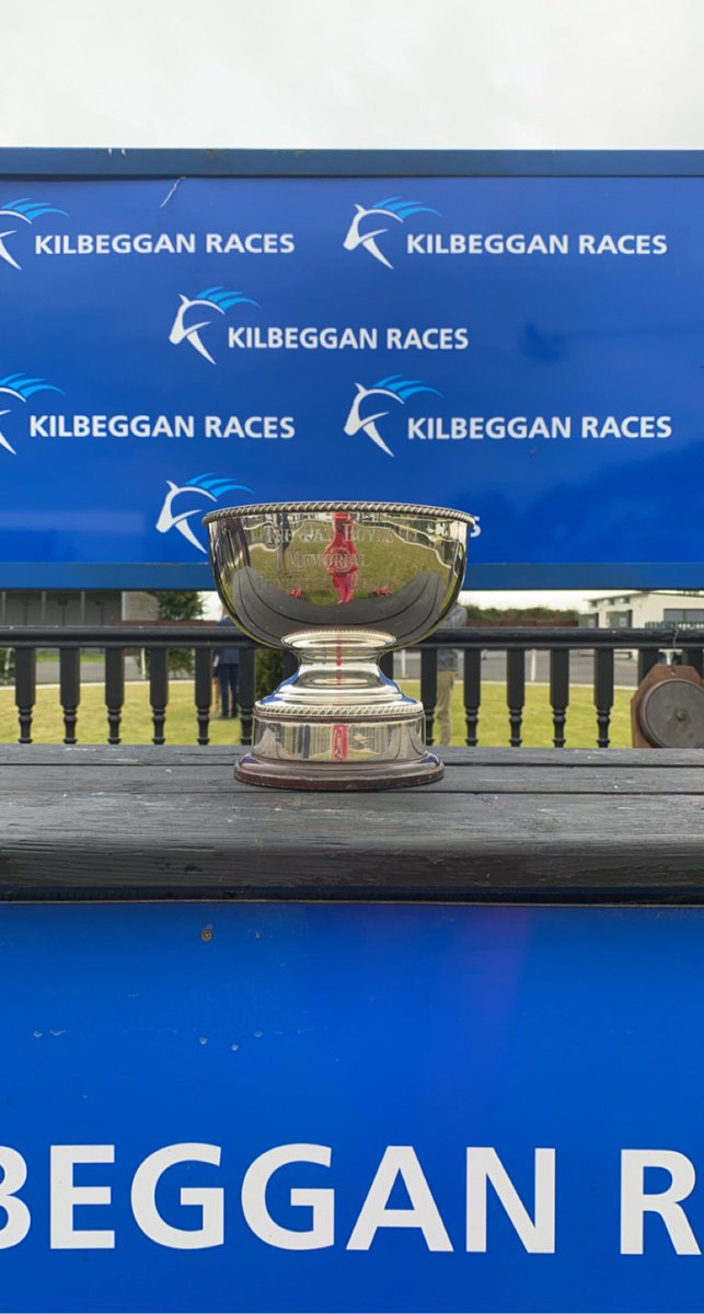 Dawnesme's tweet photo. Never underestimate a Queen what a fantastic run what a fantastic ride thank you @_Davy_Russel_ @gelliott_racing Team that was epic @KilbegganRaces ππ€π€πππΌπ₯³
We will be smiling for the rest of the year π
#keepsmilingsyndicate #countryqueen https://t.co/Pou55JVFNw