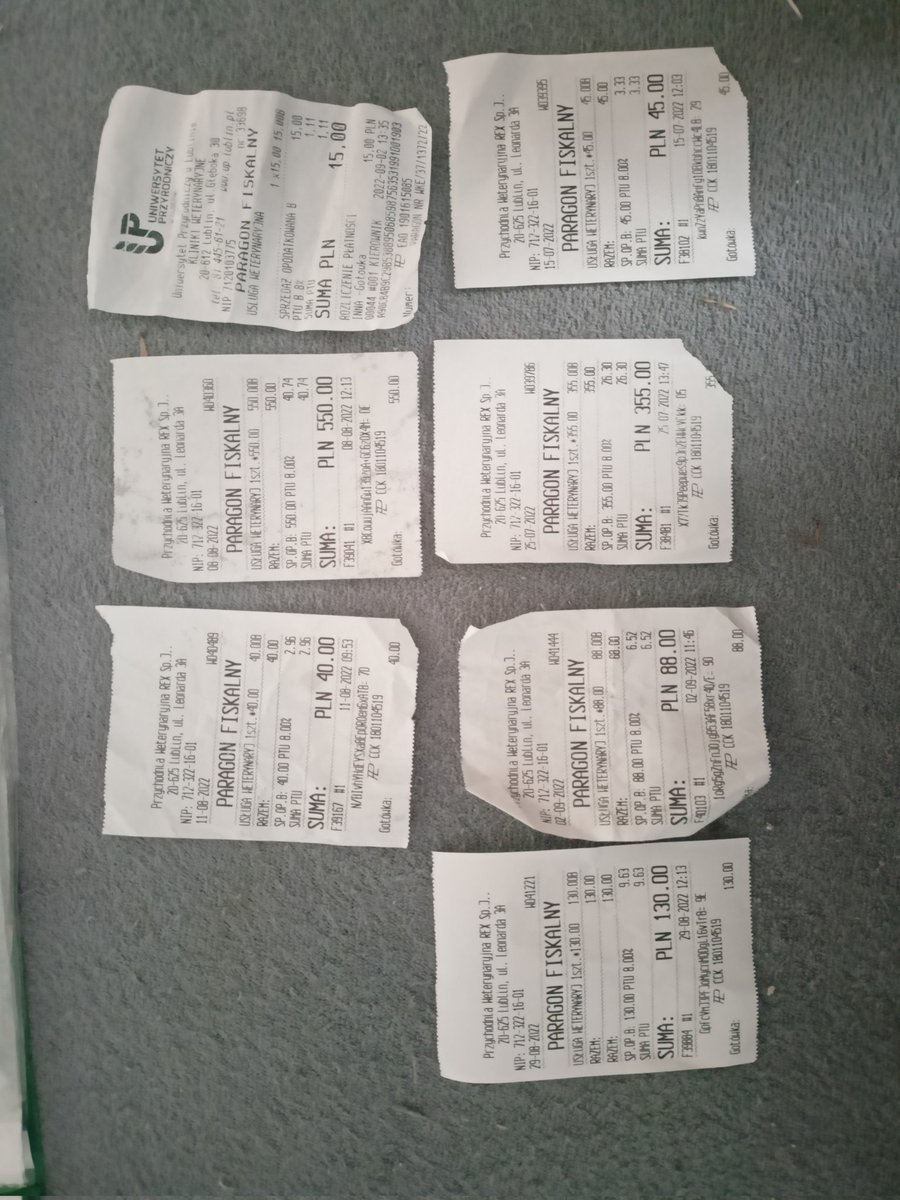 itsmenbd's tweet photo. @FRIZtoja spełnia marzenia innych o koncercie Harrego, a czy pomógłby spełnić moje o zdrowiu mojego królika? Jestem studentką która sama się utrzymuje i jestem aktualnie zadłużona na maxa przez niespodziewana operacje i cotygodniowe wizyty u weta, byłoby super gdyby się udało https://t.co/RuIuD8ngSe