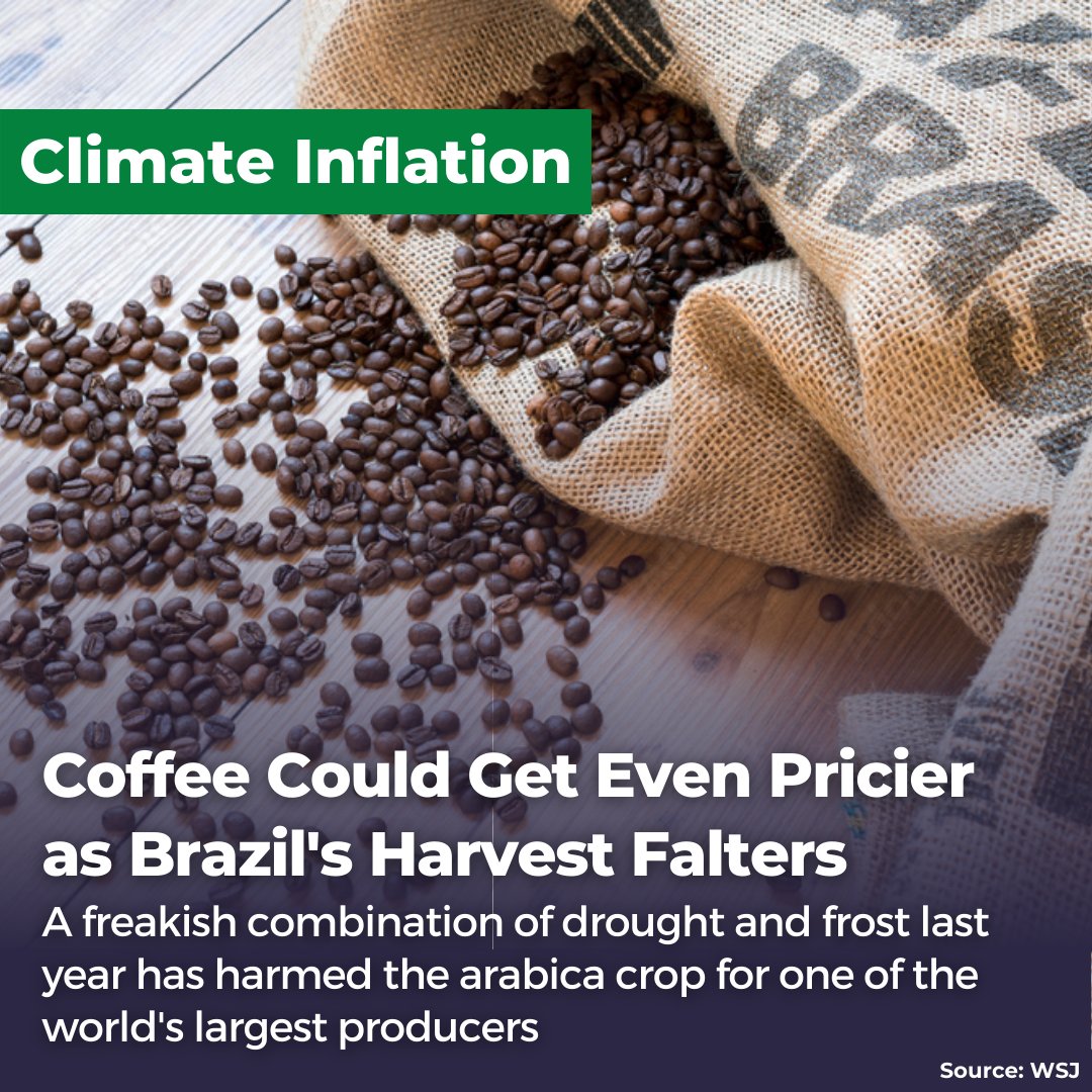 andrewbehar's tweet image. Coffee is about to get even pricier! A combination of historic droughts and frost in Brazil pushed coffee futures to all time highs. Climate risk is investment risk! #ClimateInflation