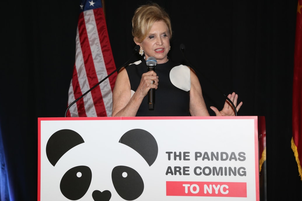 ChinaDailyUSA's tweet photo. US Representative Carolyn B. Maloney said pandas have a unique ability to bring people together, trying to bring a pair of pandas to NYC. Her office sent numerous letters to Chinese officials seeking support. She traveled to China in 2014 to visit the panda preserve.#Pandaversary https://t.co/aErNPJgpLw