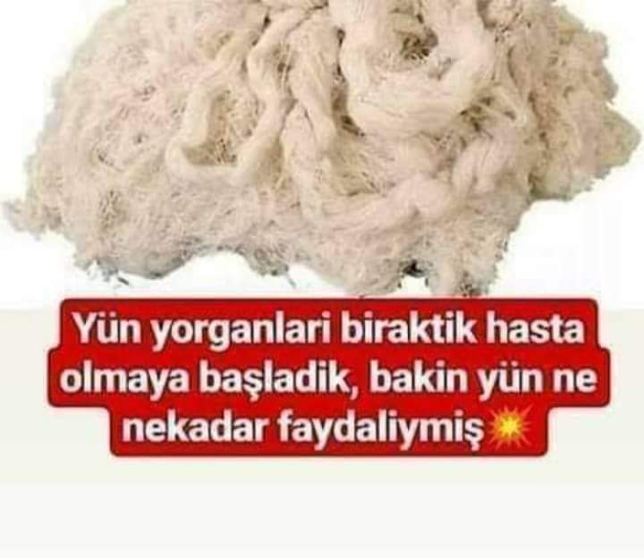 BİZLERE UNUTTURULUP HAYATIMIZDAN CIKARTILAN EN ÖNEMLİ SAĞLIK KAYNAKLARINDAN BİRİ OLAN YÜN..!

“YÜN” NE BÜYÜK NİMETMİŞ MEĞER

Koyun, deve, keçi tüyleri YÜN ismini alır.
Hakiki yün koyun yünüdür.
Koyun derken de dişi davar anlaşılır.
