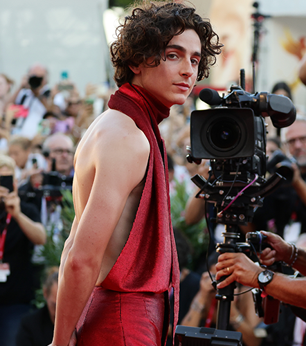 Timothée Chalamet's Harness Continues to Break the Internet