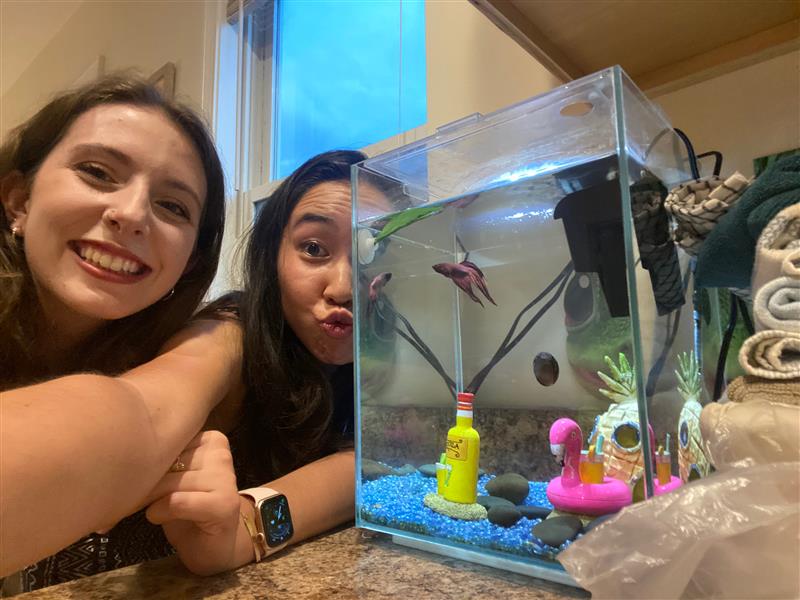 MGHDepression's tweet photo. Happy Friday from the DCRP and some of our four-legged (and aquatic) friends! https://t.co/xCycLZIwEd