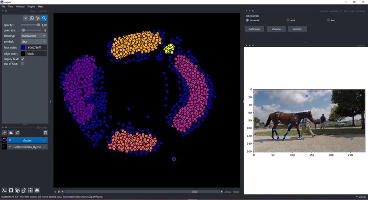 DeepLabCut 🦄 (@deeplabcut) on Twitter photo 🎉#DLCAIResidency Week -> <a href="/Sabrineiitor/">Sabrina Benas</a> 🇦🇷💜
Sabrina worked on clustering your pose data in the #napari DLC plug-in! This is highly useful for detecting mislabeled data & correcting it (or just exploring your pose data! #behaviorAnalysis )
More to come: deeplabcut.github.io/DeepLabCut/doc… 🎉#DLCAIResidency Week -> <a href="/Sabrineiitor/">Sabrina Benas</a> 🇦🇷💜
Sabrina worked on clustering your pose data in the #napari DLC plug-in! This is highly useful for detecting mislabeled data & correcting it (or just exploring your pose data! #behaviorAnalysis )
More to come: deeplabcut.github.io/DeepLabCut/doc…