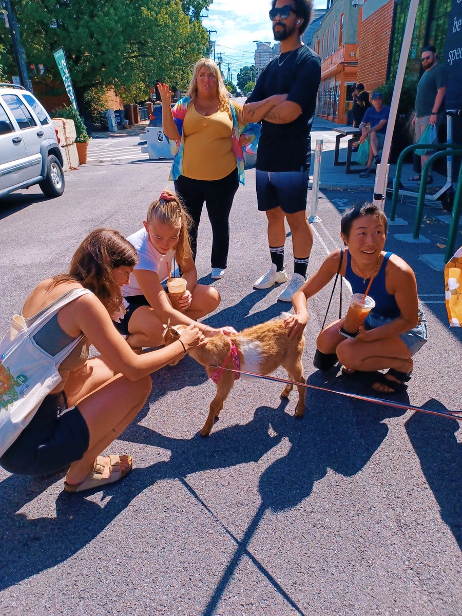 Filbert Street Garden tweet media