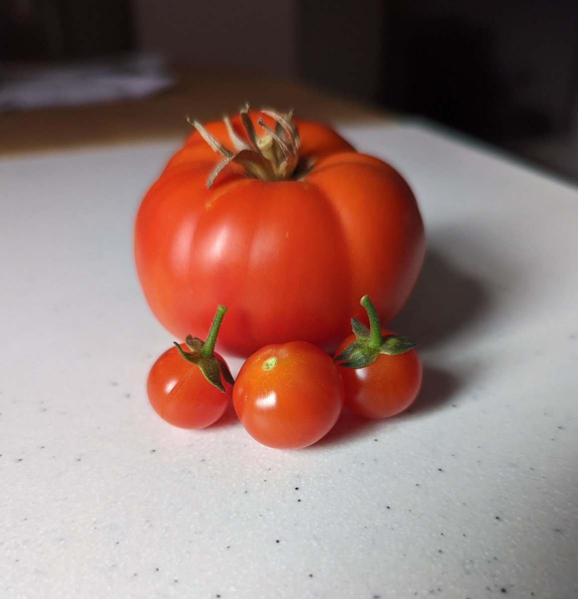 Paul Carbert tweet media