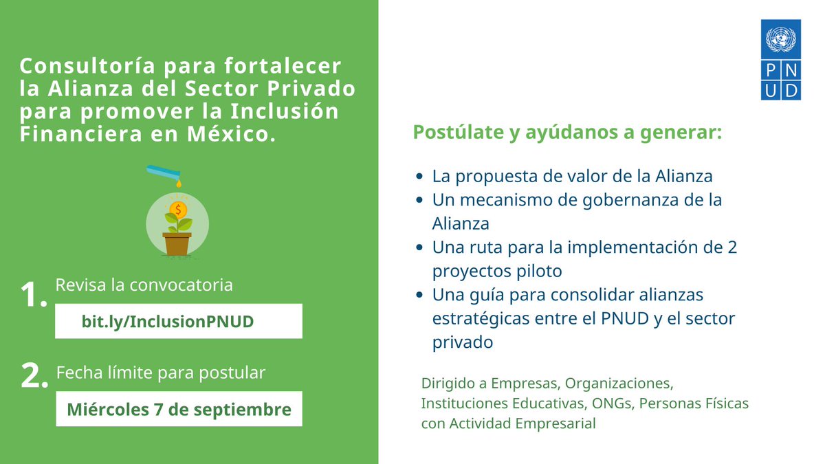 PNUD_Mexico's tweet photo. #PNUDLicita | ¿Tienes experiencia en desarrollar estrategias para implementar proyectos piloto y fortalecer alianzas con sector privado?
¡Postúlate a esta consultoría!
🗓️Fecha límite: 7 de septiembre
📄Convocatoria: https://t.co/EAndLQqAAj
Referencias del proyecto⬇️ https://t.co/pkIHEobo3Y