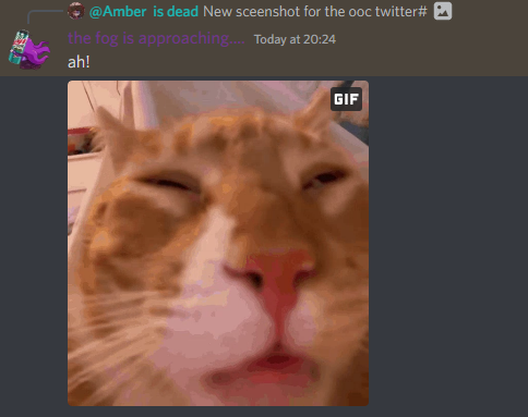 NoContextFNF's tweet photo. https://t.co/NfvWYhqFcC