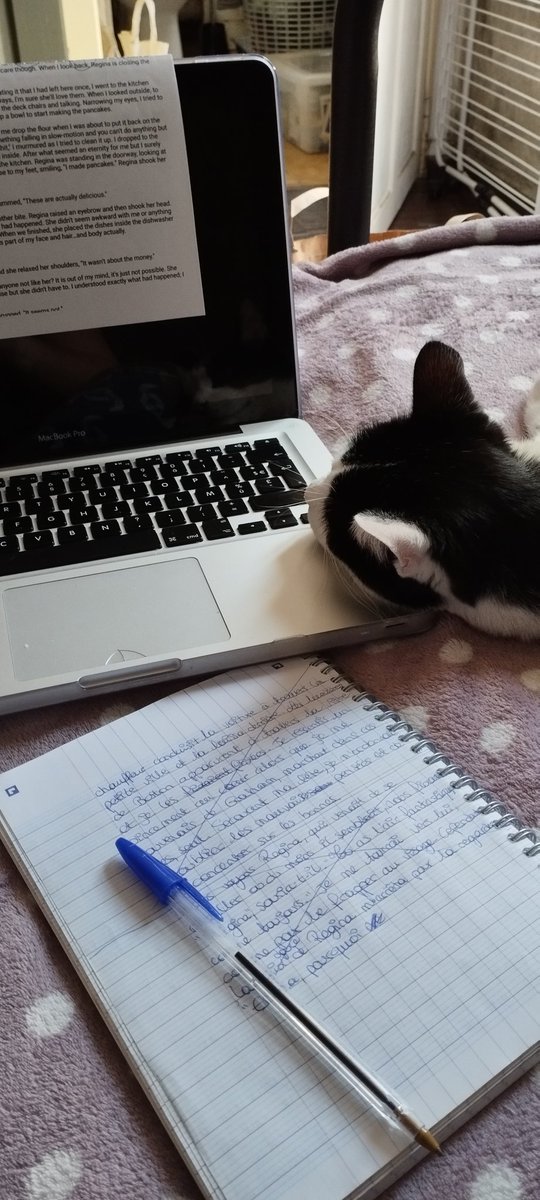 Quand ton chat te soutiens pour la traduction du nouveau chapitre de la fiction :)