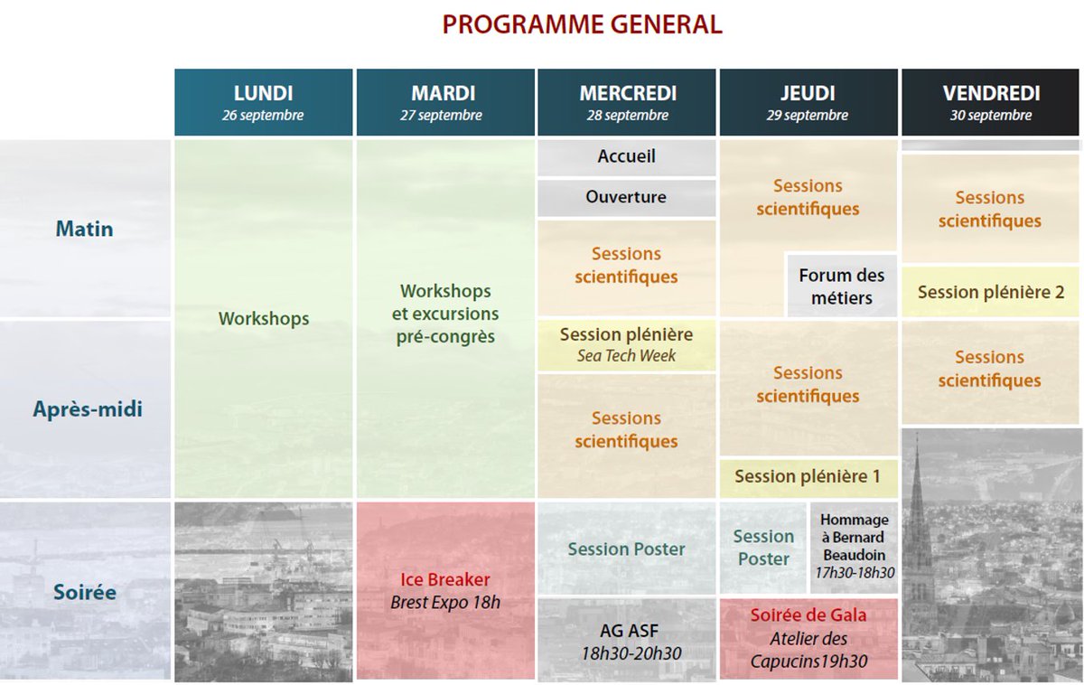 ASF_Brest's tweet photo. 📅Le programme de l'ASF Brest 2022 est désormais finalisé 😀Retrouvez tous les horaires des présentations orales et poster sur le site https://t.co/wFOhMSv9FU onglet "Programmes"! Petit aperçu général 👇 
J-25 pour vous retrouver à l'Ice Breaker!🍸 https://t.co/HKK6Yfraj4