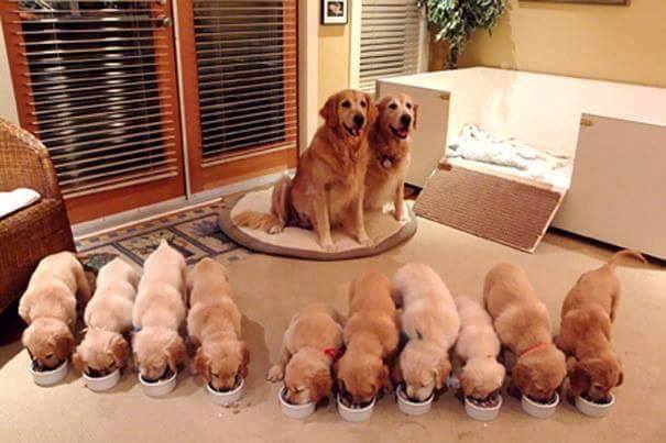 puppersplz's tweet photo. I'm the founding member of the @madi_marsh8 Fan Club! https://t.co/nx0VtYBpL5