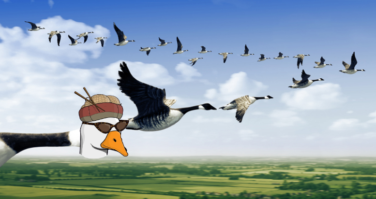 Giveaway_Goose's tweet photo. @CrazyGooseFlock = propaganda/demoralisation

Crazy Goots will fly like locusts over the enemy while shreaking arbitrary stock phrases below. Devastating impact.

Should be kept away from crowds of AEF forces due to high incidence of friendly fire. https://t.co/qacgfi72MP
