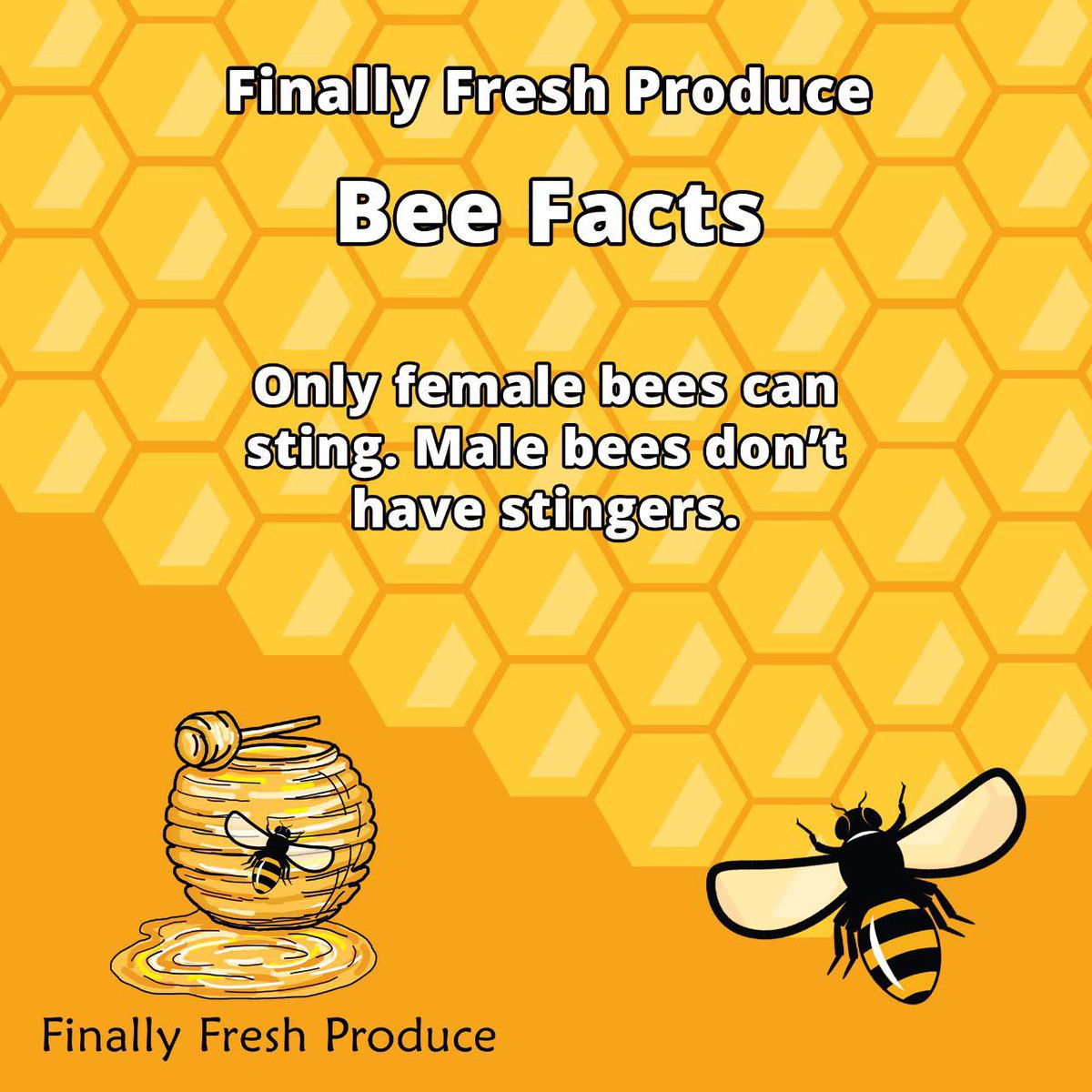 FinallyProduce's tweet photo. Not many people know this interesting fact. 

#beekeeperslife #beehives #savethebees #bees #beekeepers #bee #beekeeper #honeybees #honey #beehives #flower #polinators #apiculture https://t.co/AEz8wI41w6