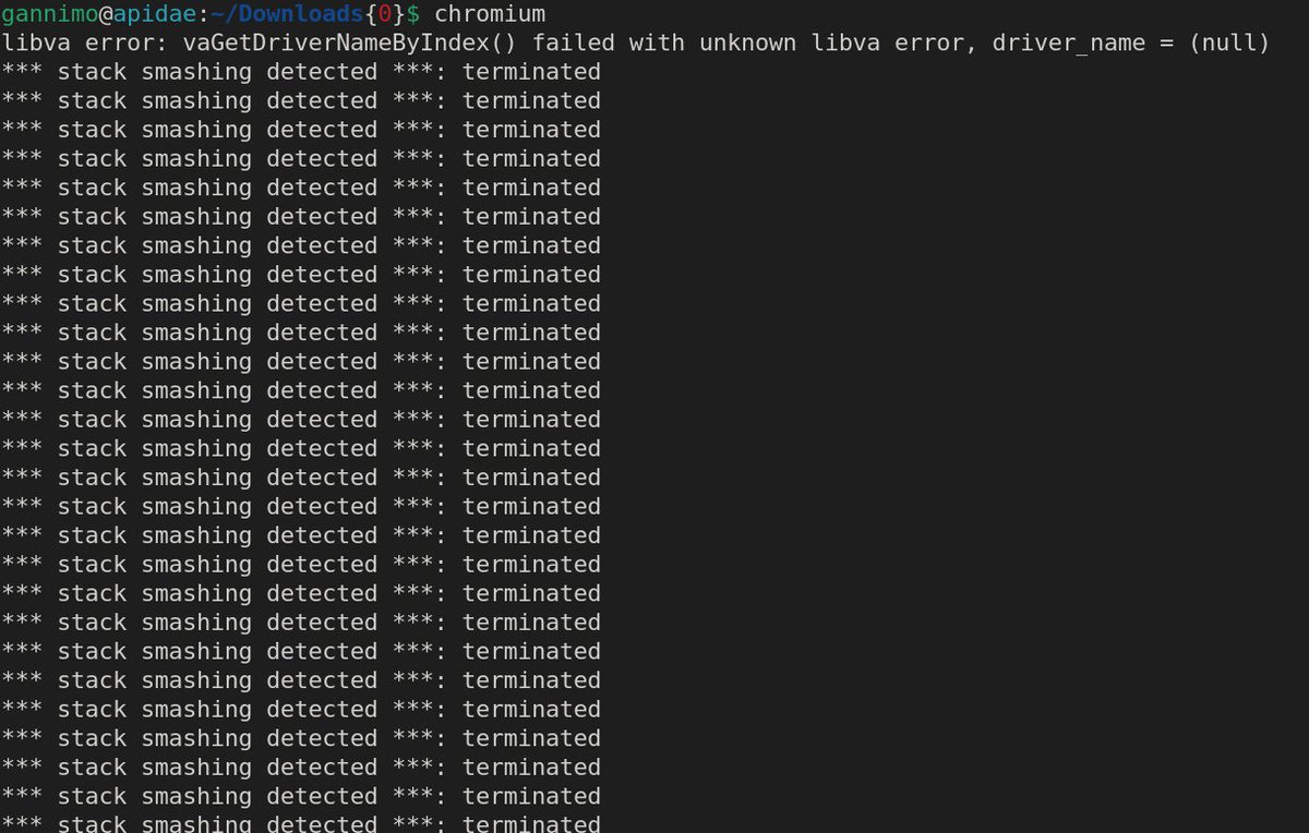 Mathias Payer tweet media