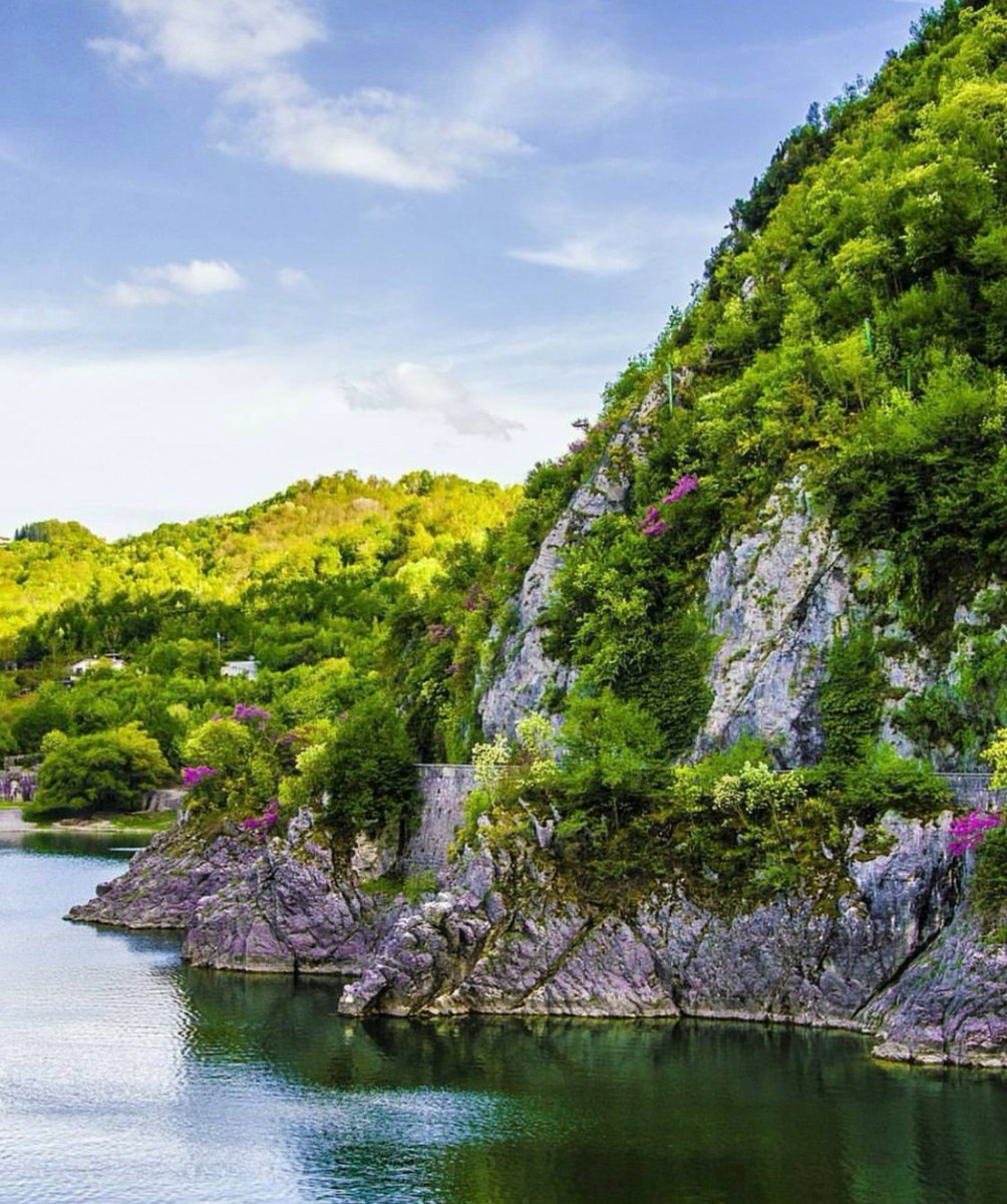 visit_lazio's tweet photo. Il #LagodelSalto è un piccolo gioiello della #Sabina dove potrete sfuggire al caldo di questi giorni. Qui il #MonteTerminillo fa da cornice ad un paesaggio unico e bucolico

📸 https://t.co/9GXmfjaywL

 #VisitLazio #FaiUnSaltoNelLazio #LazioEternaScoperta #LazioIsMe https://t.co/p9BU08cICa