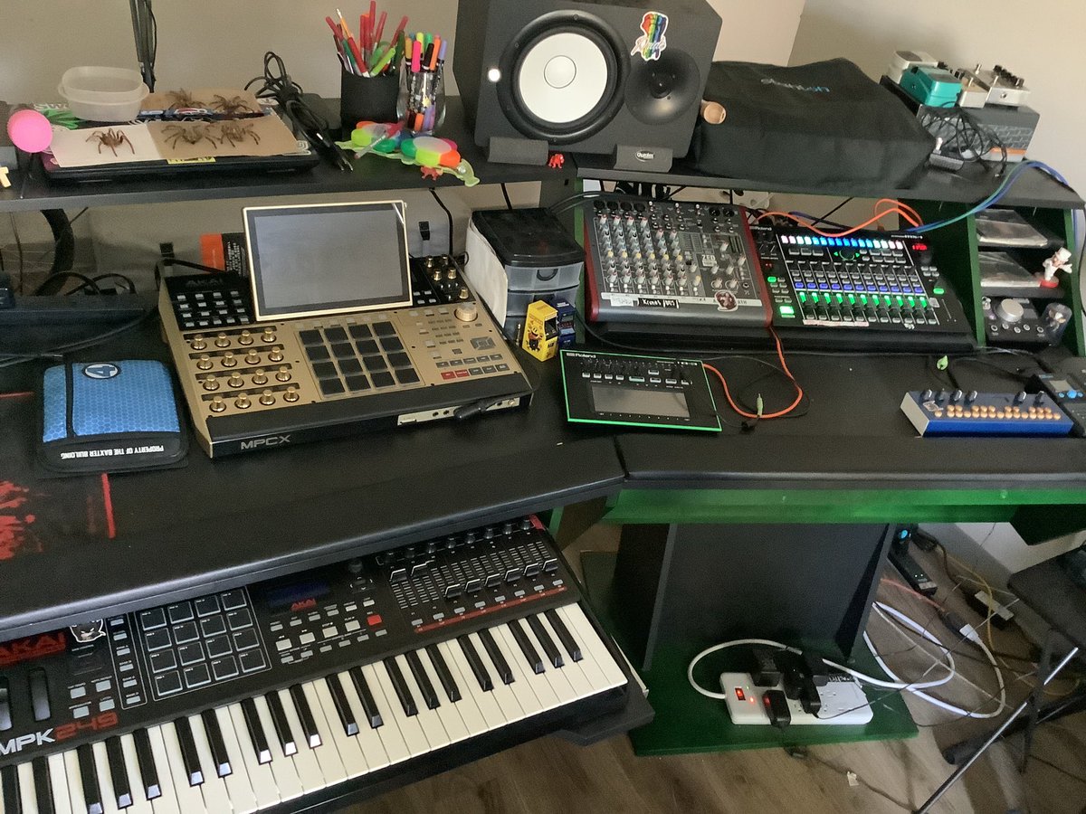 oscilla_filth's tweet photo. @NoiretBlancVie My comfy and spacious setup. Wouldn’t be complete without the tarantula molts and a tarantula enclosure hahah https://t.co/eJqlOLWYei
