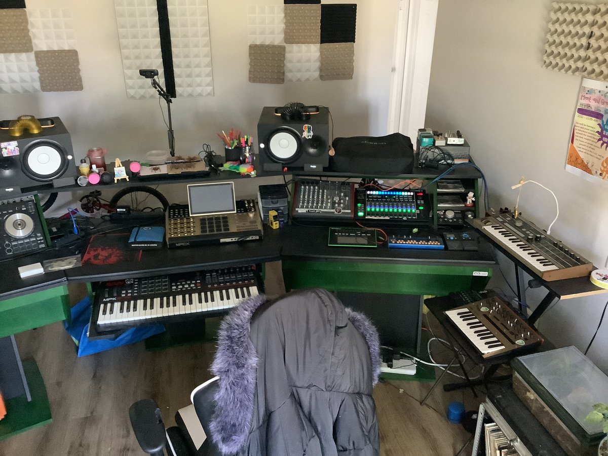 oscilla_filth's tweet photo. @NoiretBlancVie My comfy and spacious setup. Wouldn’t be complete without the tarantula molts and a tarantula enclosure hahah https://t.co/eJqlOLWYei