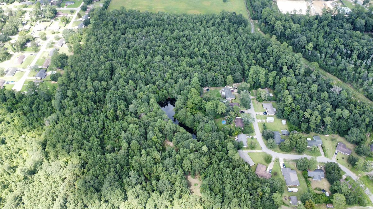 rebekahs_team's tweet photo. Residential property already platted for a new subdivision. TBD W FM 418, Silsbee, Tx 409-781-1115 #rebekahsrealtyteam #remaxone #land https://t.co/8F2voYCNoR