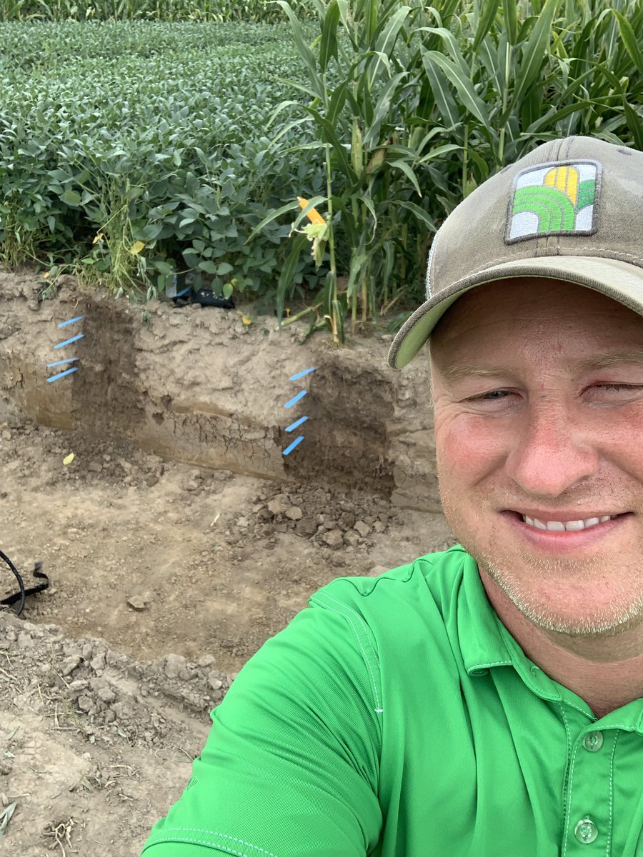 MOagMefford's tweet photo. Unique chance to talk about clay pan soils in E MO at Braungardt Ag field day. Love the chance to get into a soil pit! #moagrigold https://t.co/P1VY7jHt9t