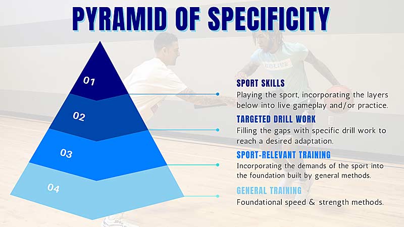 SimpliFaster's tweet photo. "We want the bottom levels of the scale to feed the higher levels. This scale can help you properly program &amp; dose athletes w/ lifts or drills that make the most sense for the stage or training or environment they’re in."

🔷 @JustinOchoa317 #HybridModel

https://t.co/QL3Nk9Gvb7 https://t.co/GY3Rbq74F8