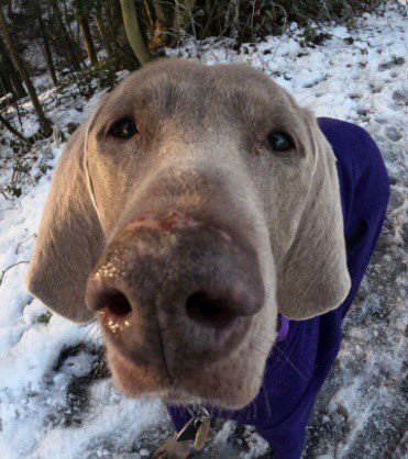 Lisa jones tweet media