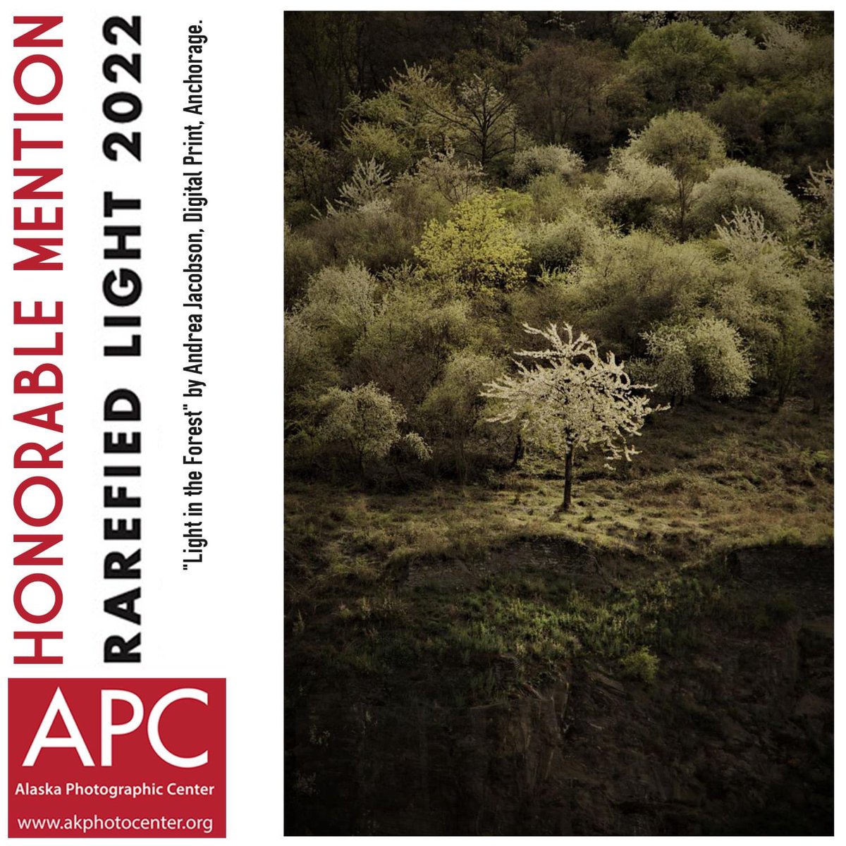 akphotocenter's tweet photo. Congrats to Andrea Jacobson of Anchorage for her work being awarded an Honorable Mention in Rarefied Light 2022! Juror @DanBurkholderNY had 460 submissions from 70 AK artists to create an exhibition of 55 pieces that will travel the state until 2023.

#rarefiedlight #artexhibit https://t.co/jspom6Ehys