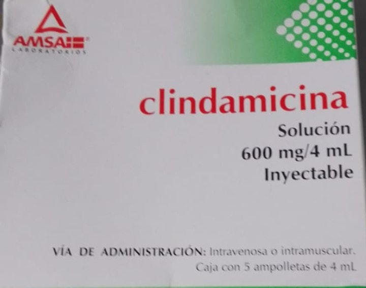 RadioCosta_'s tweet photo. #ServicioSocial #Urgente | @Autlan_CRM comparte que se requieren #Medicamentos para #PacienteGrave en el #HospitalRegionalDeAutlán🏥
Solicitan #Dicynone (#Etamsilato) y #Clindamicina
Si pueden apoyar, favor de acudir directo a Cruz Roja Autlan Obregon # 72 Centro ☎️317 382 1297 https://t.co/wrTzGVFimH