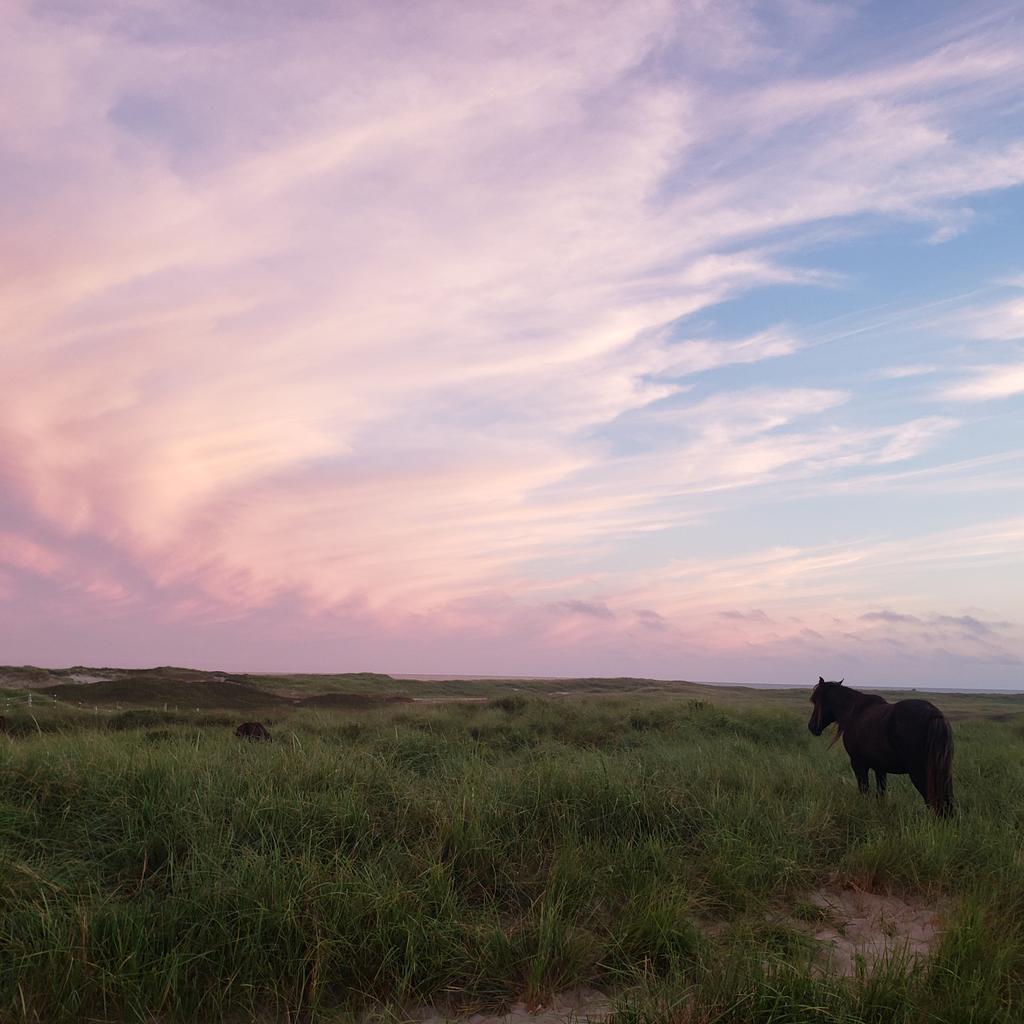 Micky (Sangwook) Ahn tweet media